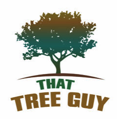 That Tree Guy